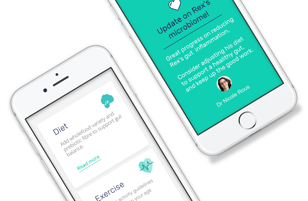 image of i-screenPets on mobile phones