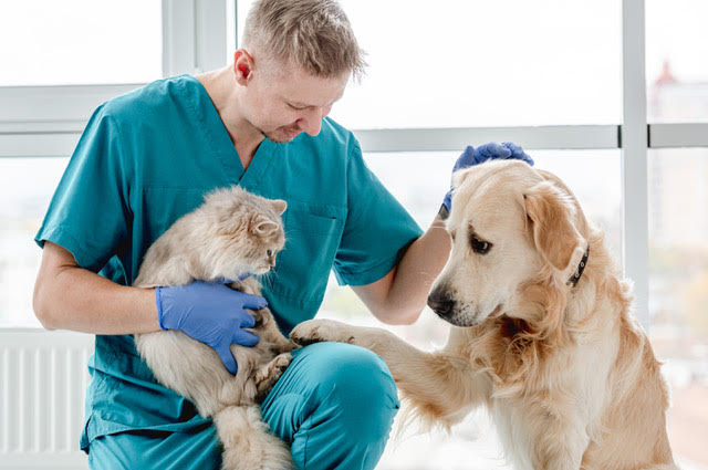 Image of a vet with a dog and a cat